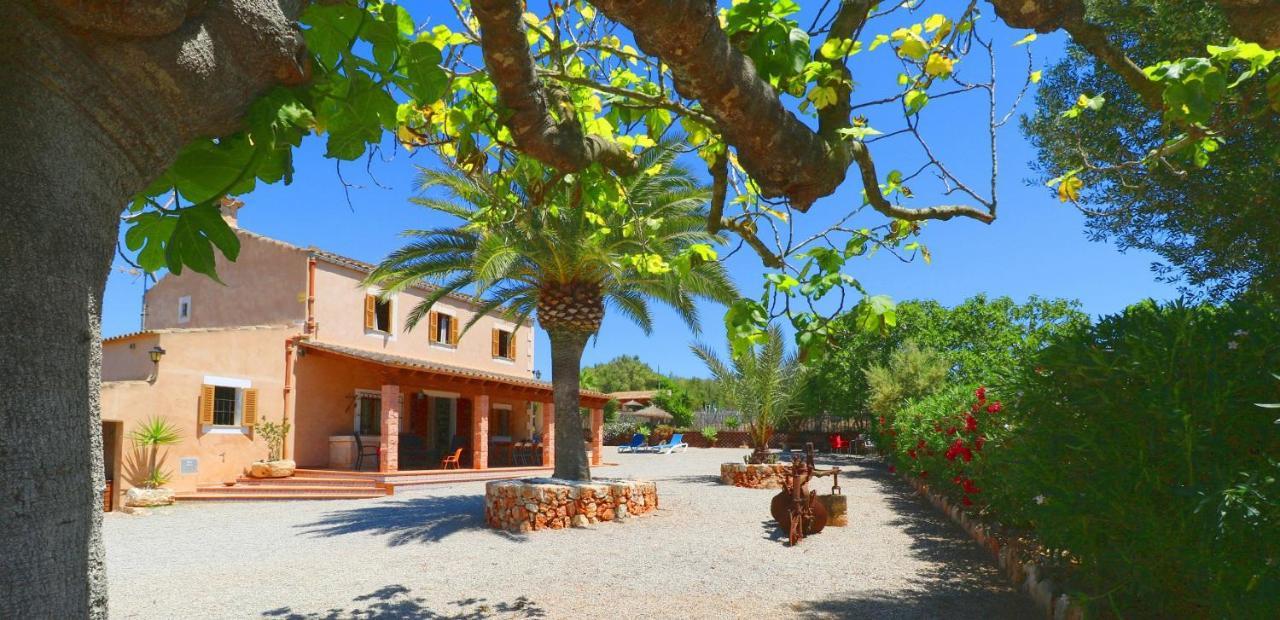 Alcoraia Campos (Mallorca) Exterior foto